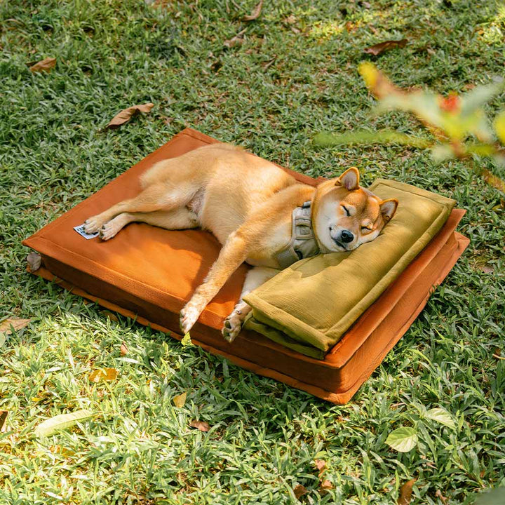 Anti-anxiety deep sleep dog bed, orthopedic support, plush, calming comfort for pets.