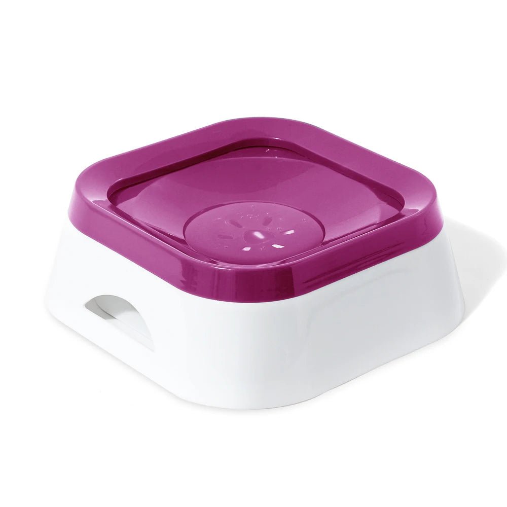 Non-slip slow feeder dog water bowl, prevents spills and encourages slower drinking for pet health.