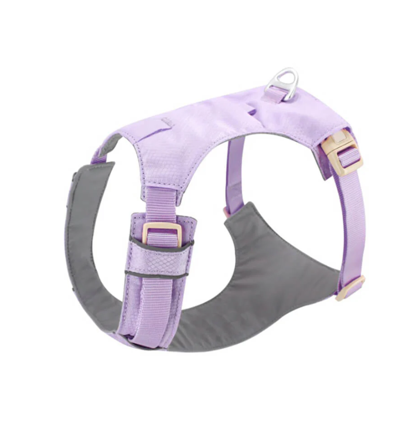 Anti-pull dog harness with adjustable leash, black, for stress-free walking