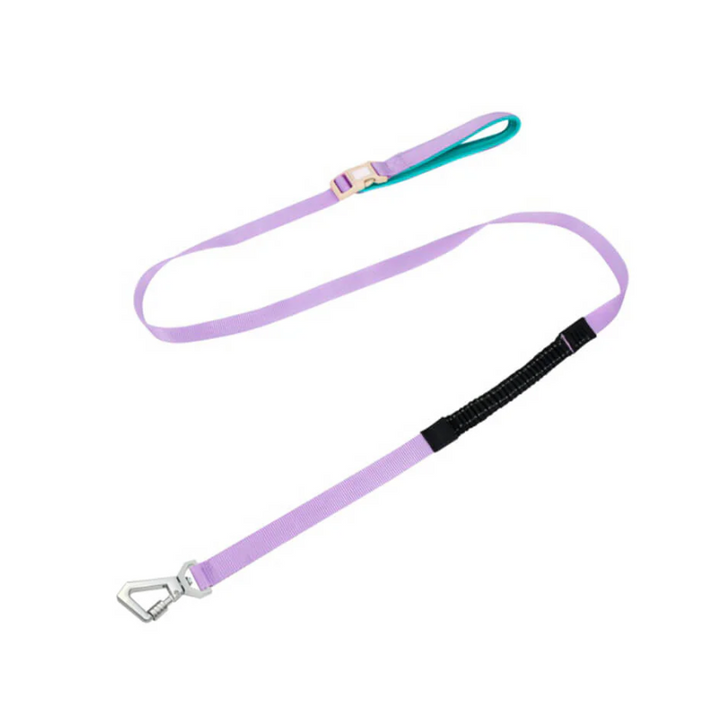Ergonomic dog walking harness for small to medium dogs, with durable leash