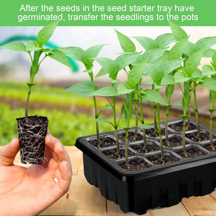 "Anzuchtset mit LED-Licht, ideal für Pflanzenzucht zuhause, zeigt blühende Setzlinge unter heller Beleuchtung."