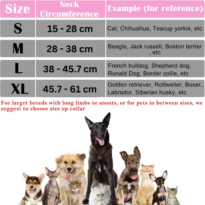 Aufblasbarer, blauer Hundekragen in Donut-Form für maximalem Komfort und Schutz nach Operationen.