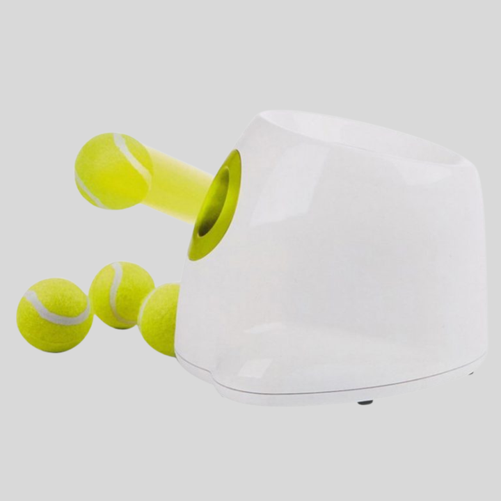 New4 automatic dog ball launcher for fetch, shown with a happy dog, pet supplies for active dogs