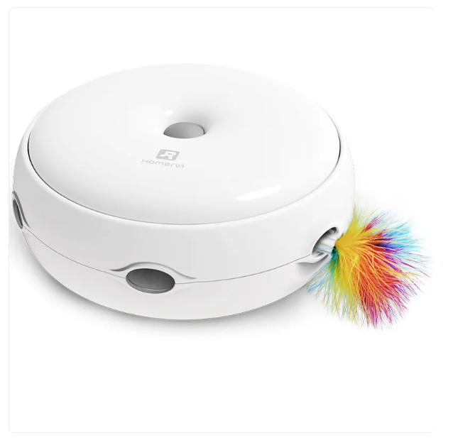 Cat exercise toy: automatic interactive feather with rainbow colors for playful kitten stimulation.