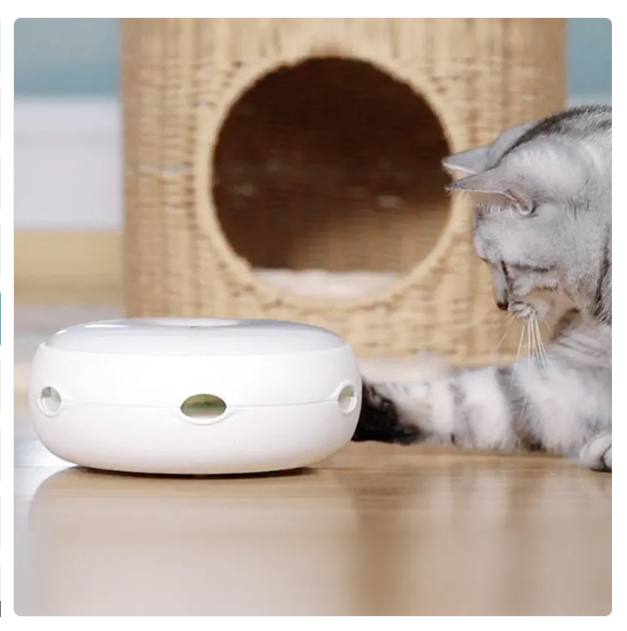 Interactive feather toy for cats, an automatic pet supply providing mental stimulation and exercise.