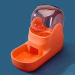 Orange drinking water