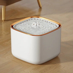 Gold Border - White