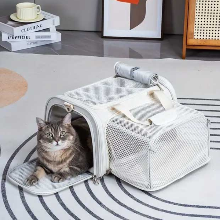 Black cabin airline pet carrier, expandable travel bag for small pets, dog or cat