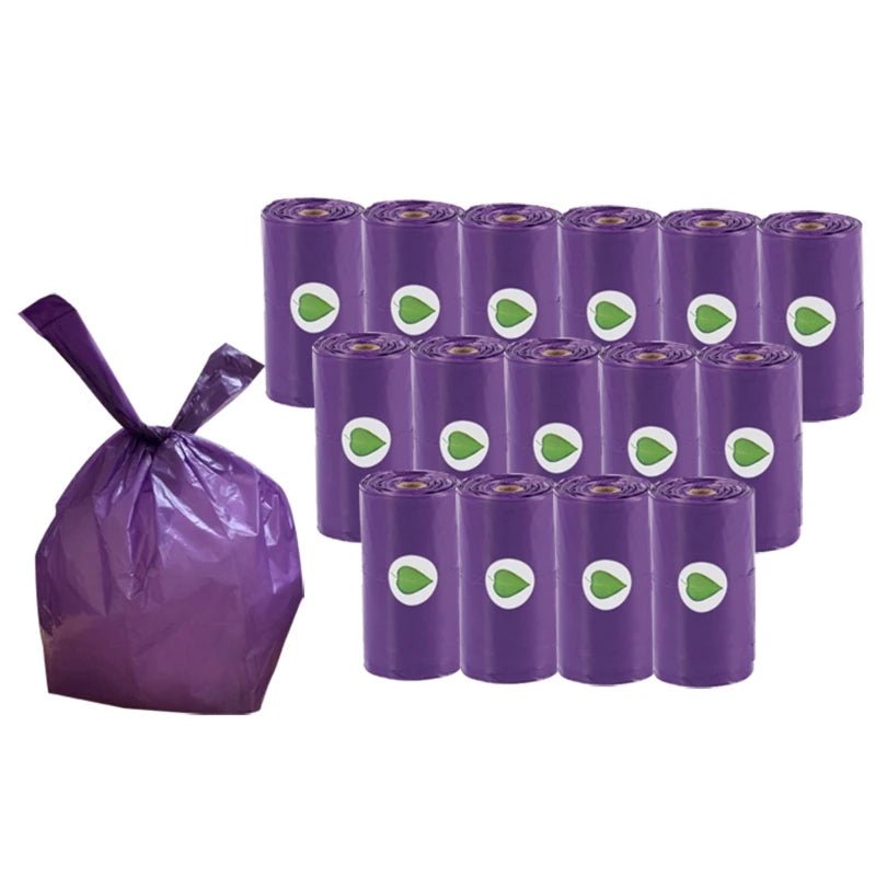 Dog owner using a biodegradable waste bag with handles to clean up, showing practical use of pet supplies