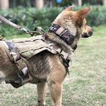 Camouflage