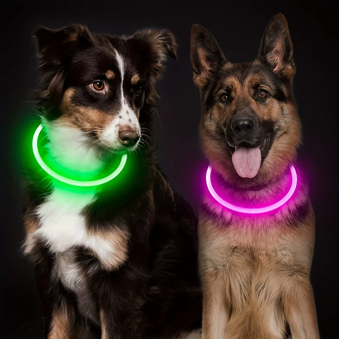 "Blaues leuchtendes LED-Hundehalsband, USB-wiederaufladbar, für sichere Spaziergänge bei Nacht, verstellbar und wetterfest."