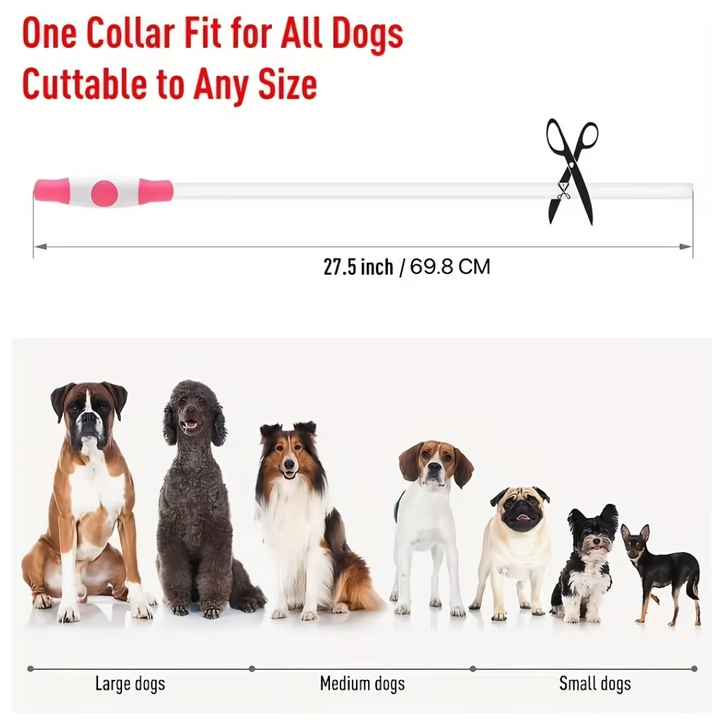 "Blaues leuchtendes LED-Hundehalsband, USB-wiederaufladbar, für sichere Spaziergänge bei Nacht, verstellbar und wetterfest."