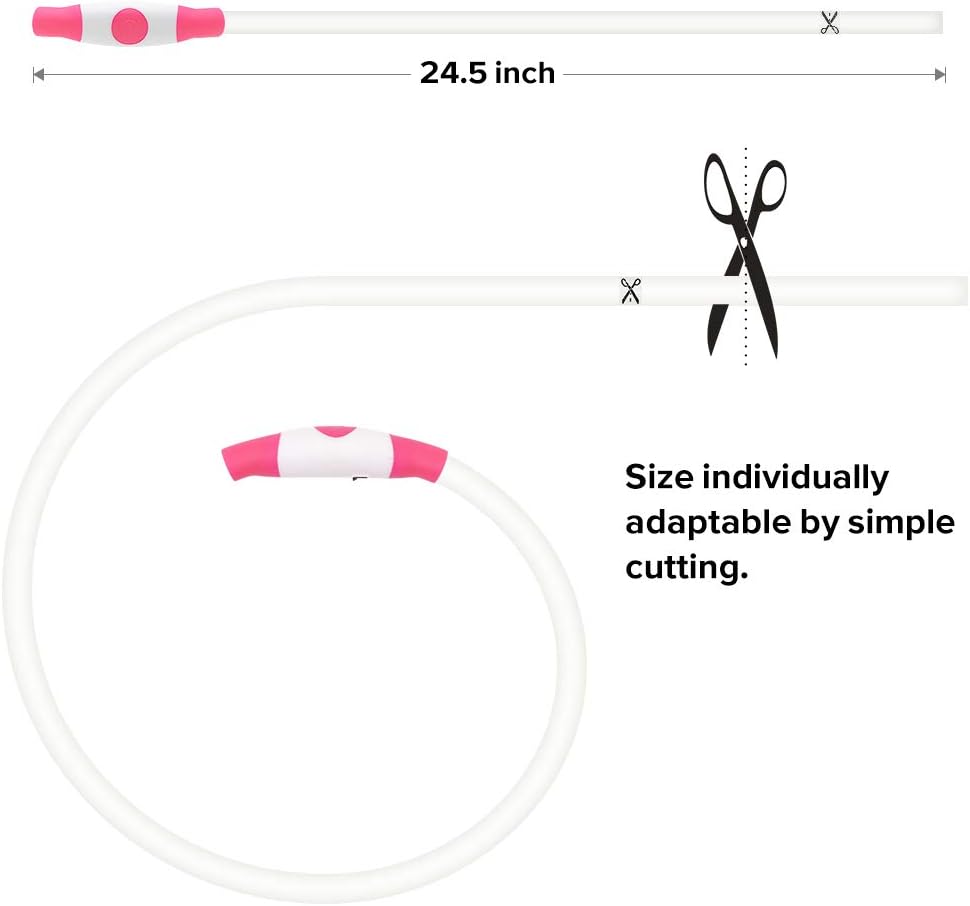 "Blaues leuchtendes LED-Hundehalsband, USB-wiederaufladbar, für sichere Spaziergänge bei Nacht, verstellbar und wetterfest."