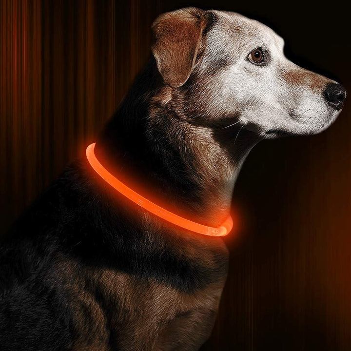 "Blaues leuchtendes LED-Hundehalsband, USB-wiederaufladbar, für sichere Spaziergänge bei Nacht, verstellbar und wetterfest."