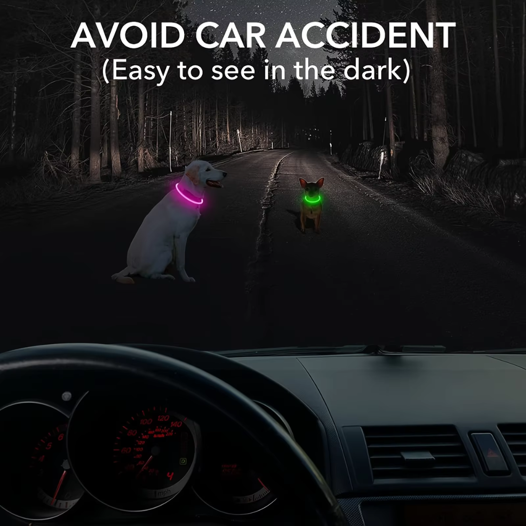 "Blaues leuchtendes LED-Hundehalsband, USB-wiederaufladbar, für sichere Spaziergänge bei Nacht, verstellbar und wetterfest."