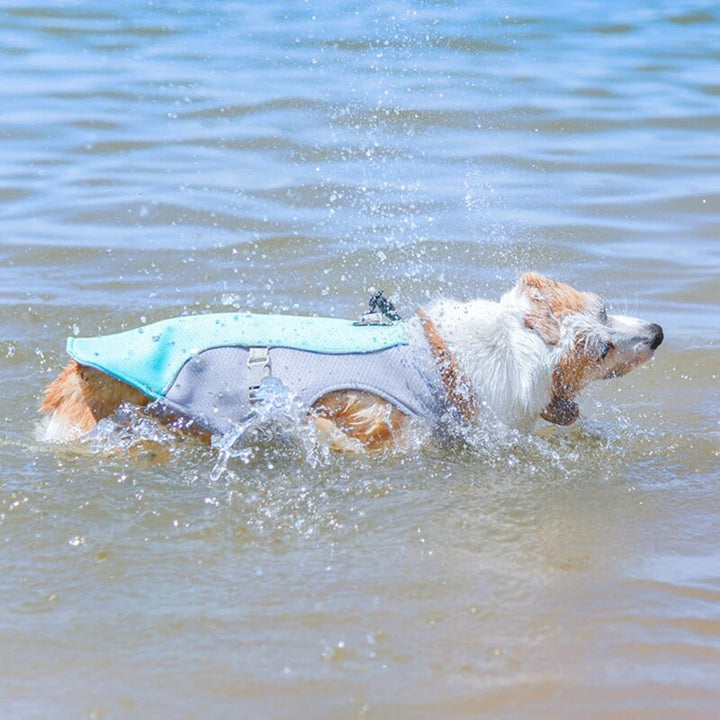 Close-up of reflective trim on dog cooling vest harness, essential pet supplies