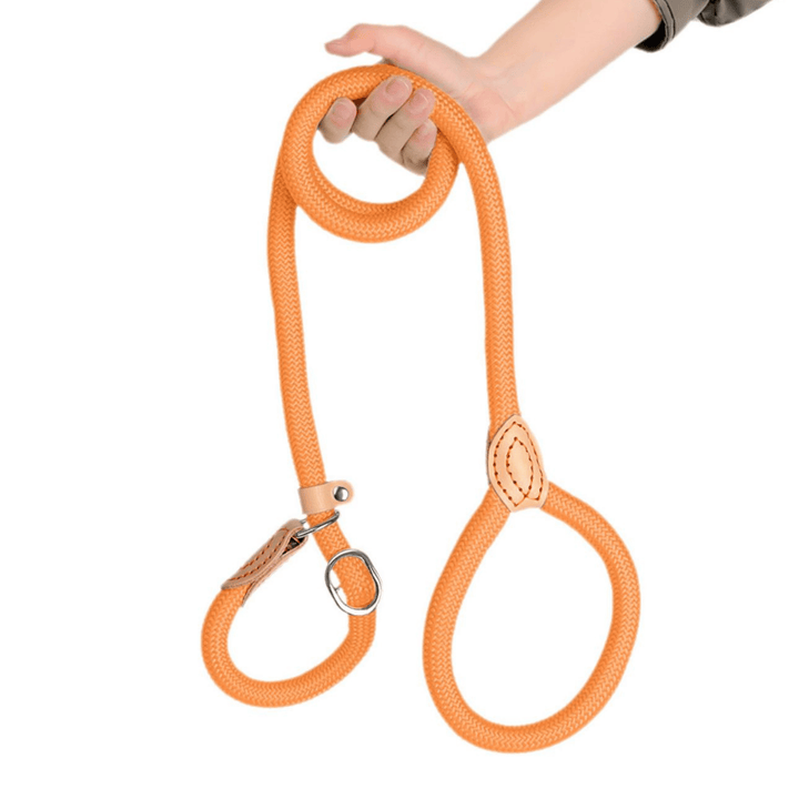 Black slip lead dog leash for medium to large breeds, a versatile pet walking accessory.