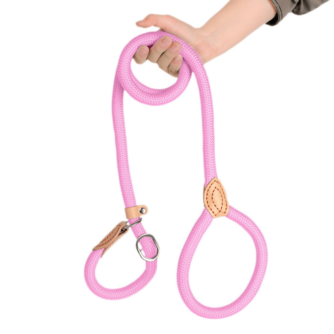 Pet supplies: ergonomic braided rope slip lead for effective dog training.