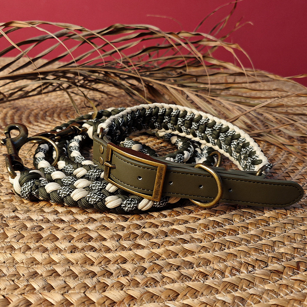 Brown leather dog collar with metal buckle, anti-pull design for dog walking