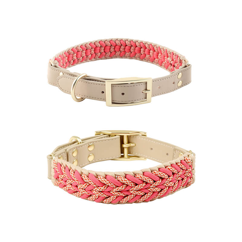 Adjustable leather dog collar with anti-pull loop, suitable for various breeds