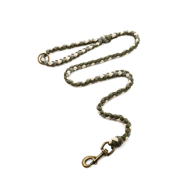 Dog accessories: black leather anti-pull collar and matching sturdy leash