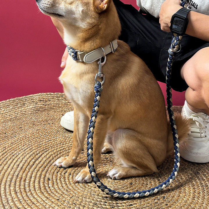 Multifunctional dog leash and collar set, durable hemp rope and genuine leather