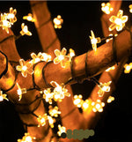 Solar acht-Modus 5m 20 Lichter