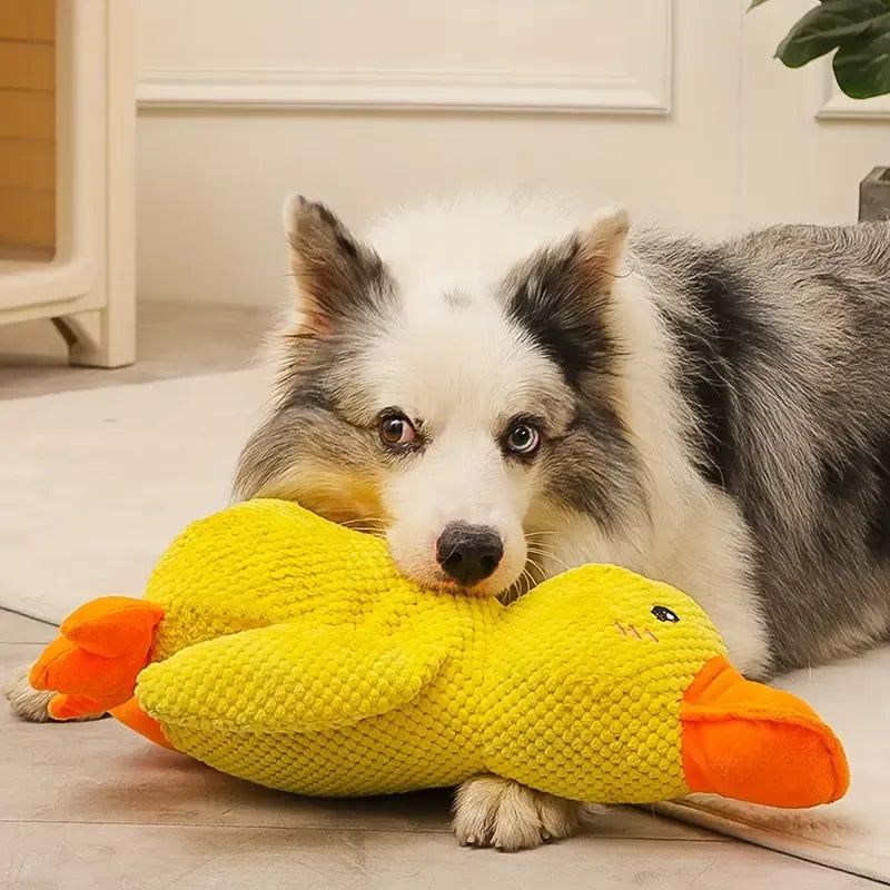 Yellow duck plush dog toy, calming design for pets, deep quack sound, perfect pet enrichment supplies