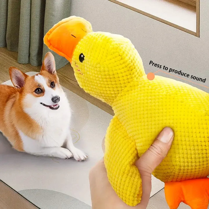 Durable duck plush dog toy, deep quack sound, comforting for anxious pets, engaging chew toy supplies