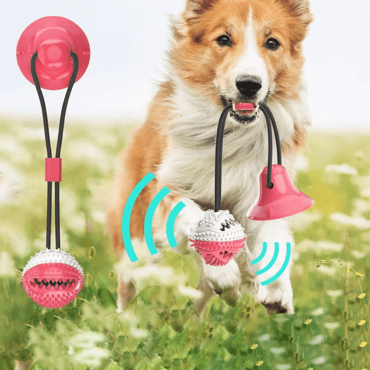 Robustes Hundezerrspielzeug mit Saugnapf