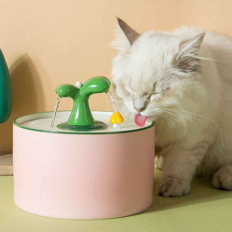 Automatic pet water dispenser in ceramic, designed for easy cleaning and optimal pet health.