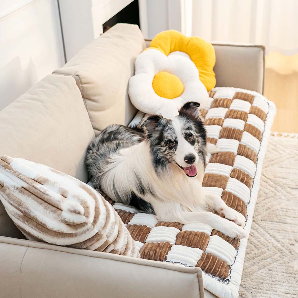 Textured chenille pet mat, enhancing dog and cat comfort on furniture