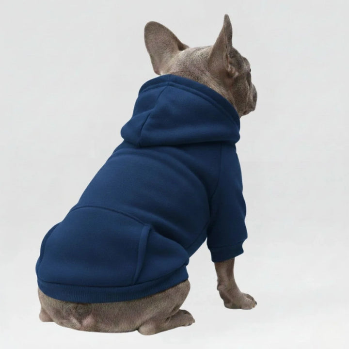 Red pet dog hoodie sweatshirt featuring a pocket, comfortable and fashionable pet clothing.