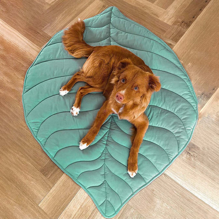 Warm pet blanket with unique leaf pattern, ideal dog bed or cat mat for ultimate pet comfort.