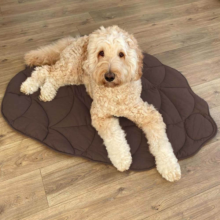 Luxury pet blanket featuring a stylish leaf design, perfect cozy dog bed or cat mat.