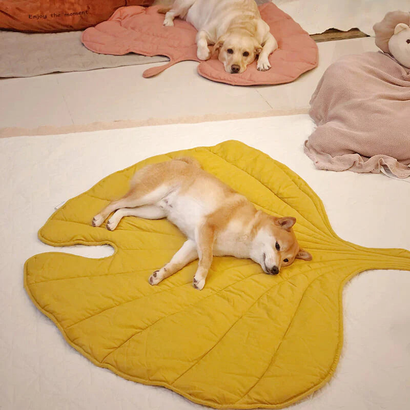 Comfortable pet blanket for furbabies, leaf-themed dog bed or cat mat, durable & cozy luxury.