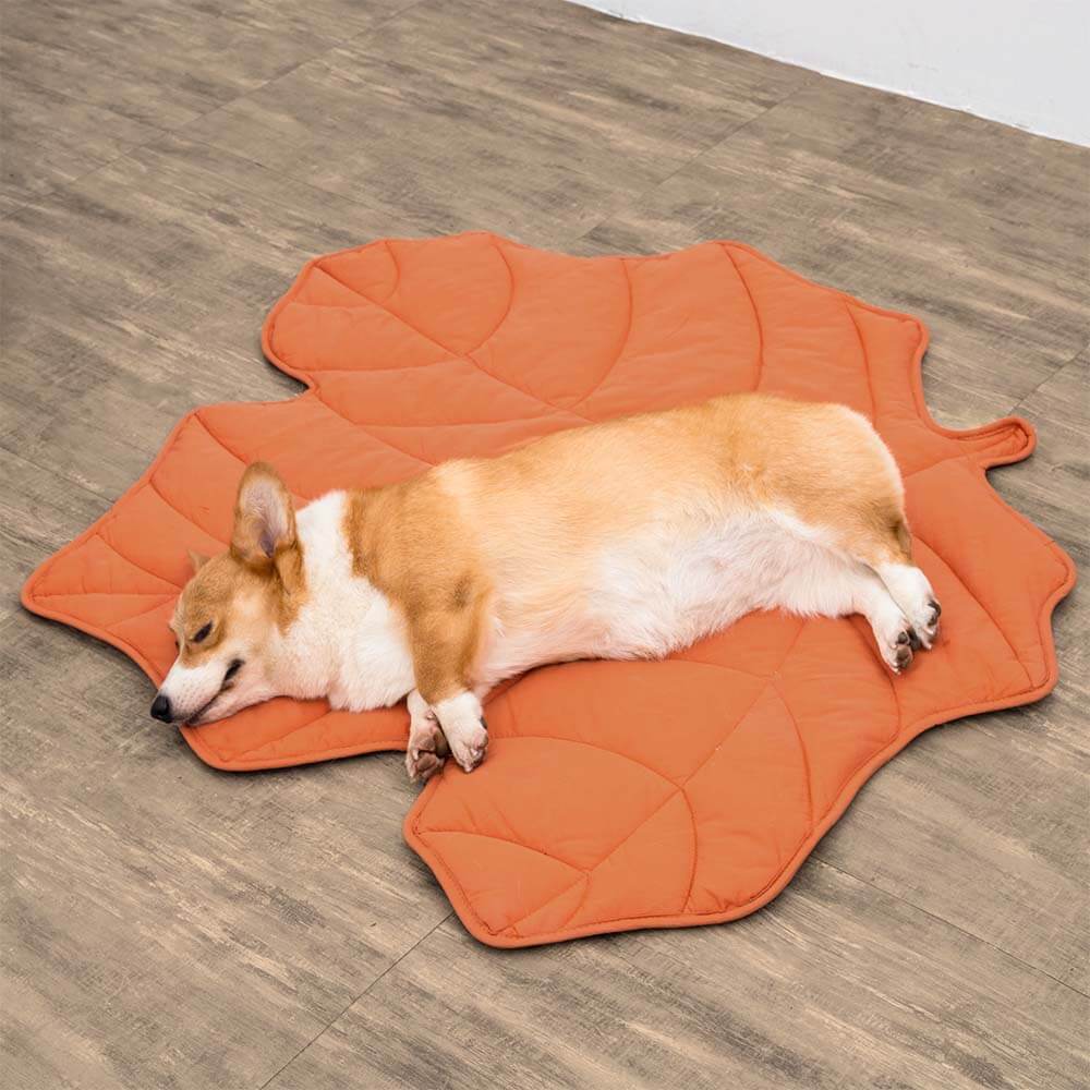 Leaf print pet blanket, a soft and durable animal bedding solution, perfect comfort mat.