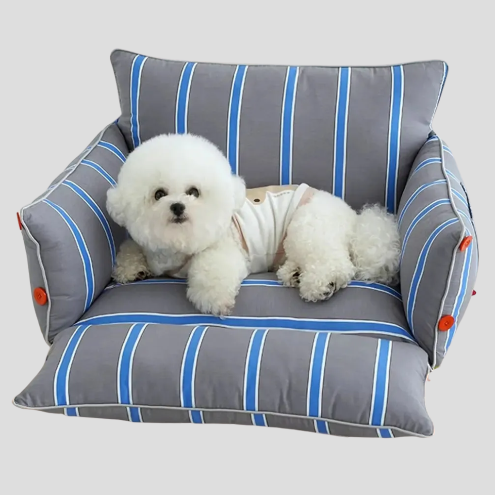 Stylish raised dog sofa bed offers ultimate pet comfort. Cozy, washable dog furniture for small & medium pets.