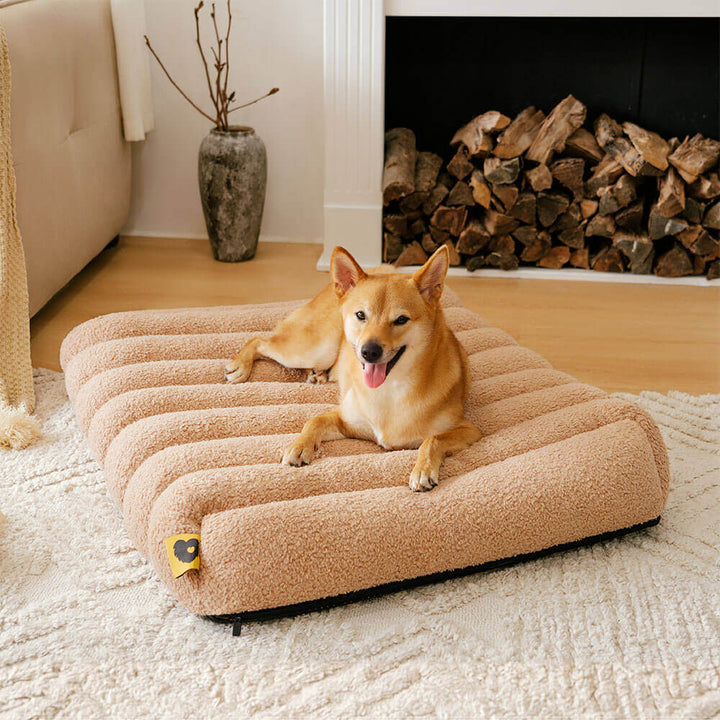 Washable creamy dog bed, orthopedic, cozy, perfect for flat living.