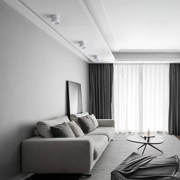 Verstellbare Deckenleuchte, Aluminium, 10cm