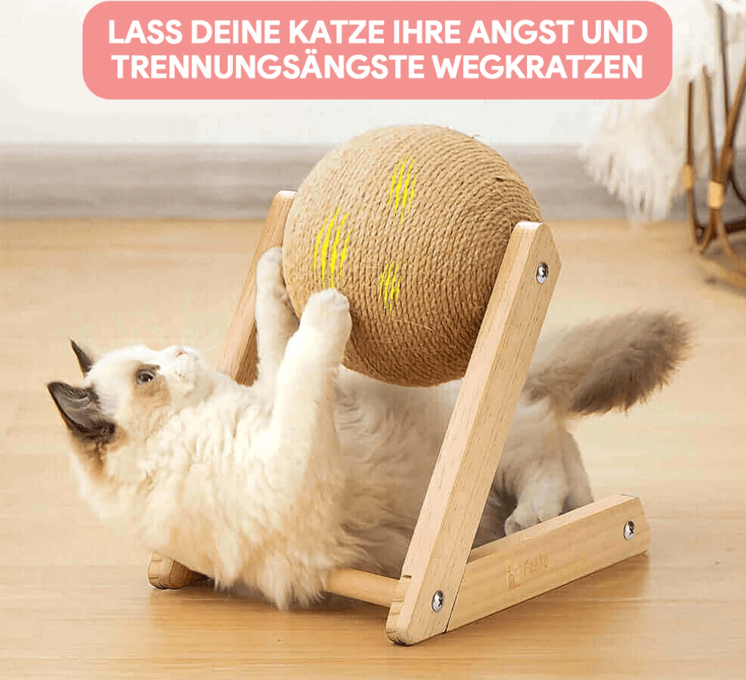 Katzenspielzeug Kratzbaum - Spielspaß & Krallenpflege