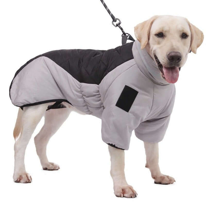 Wasserdichte Hundejacke für mittelgroße Hunde