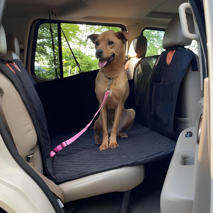 Premium back seat protector for dogs, a deluxe car seat cover with side flaps & secure fit.