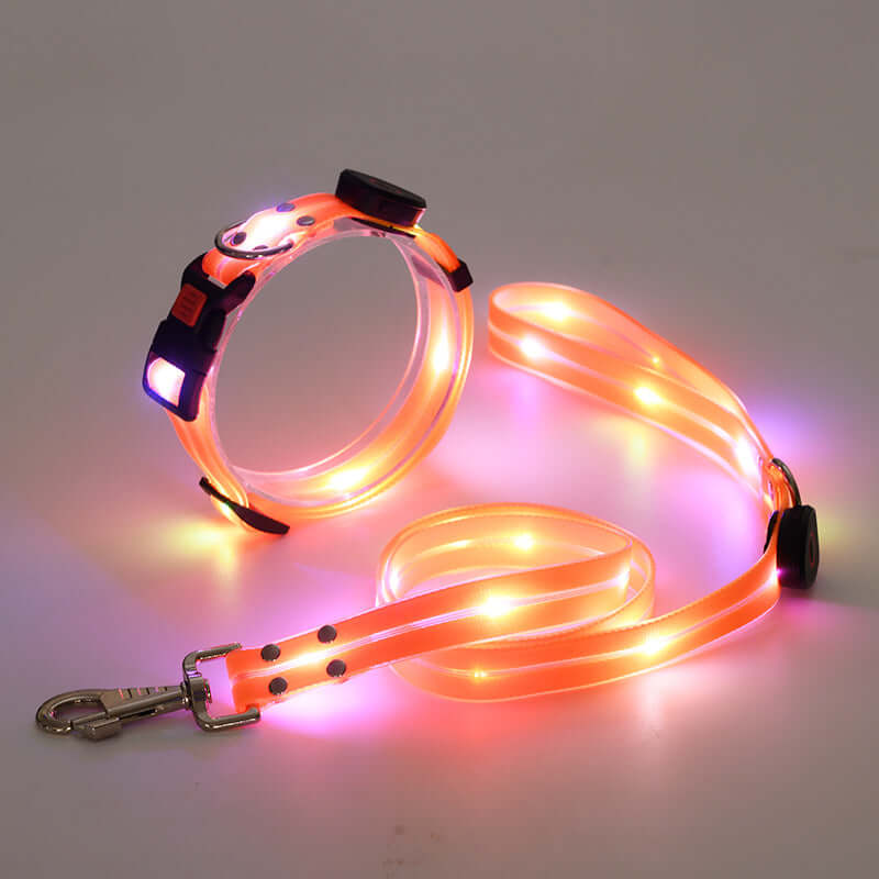 LED Hundehalsband mit Leine - Sicher & Sichtbar