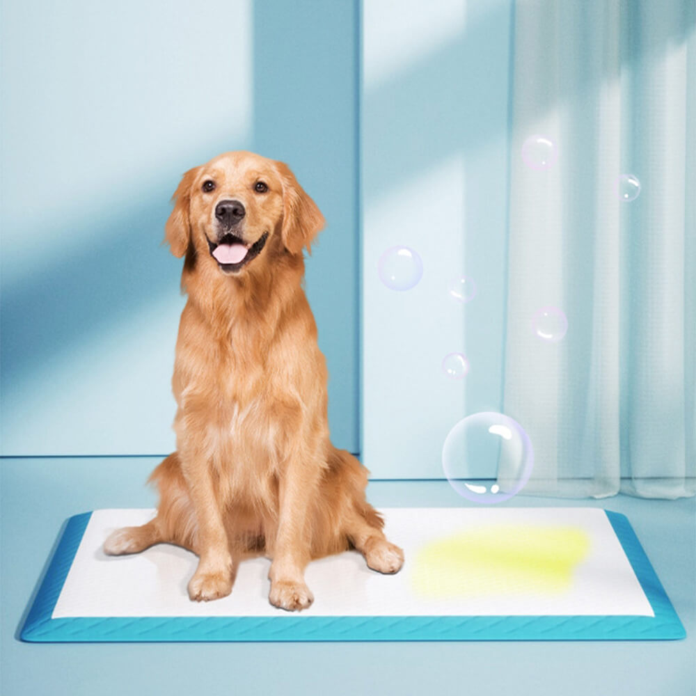 Roll of compact, disposable pet training pads, emphasizing convenience for portable pet potty needs and hygiene.