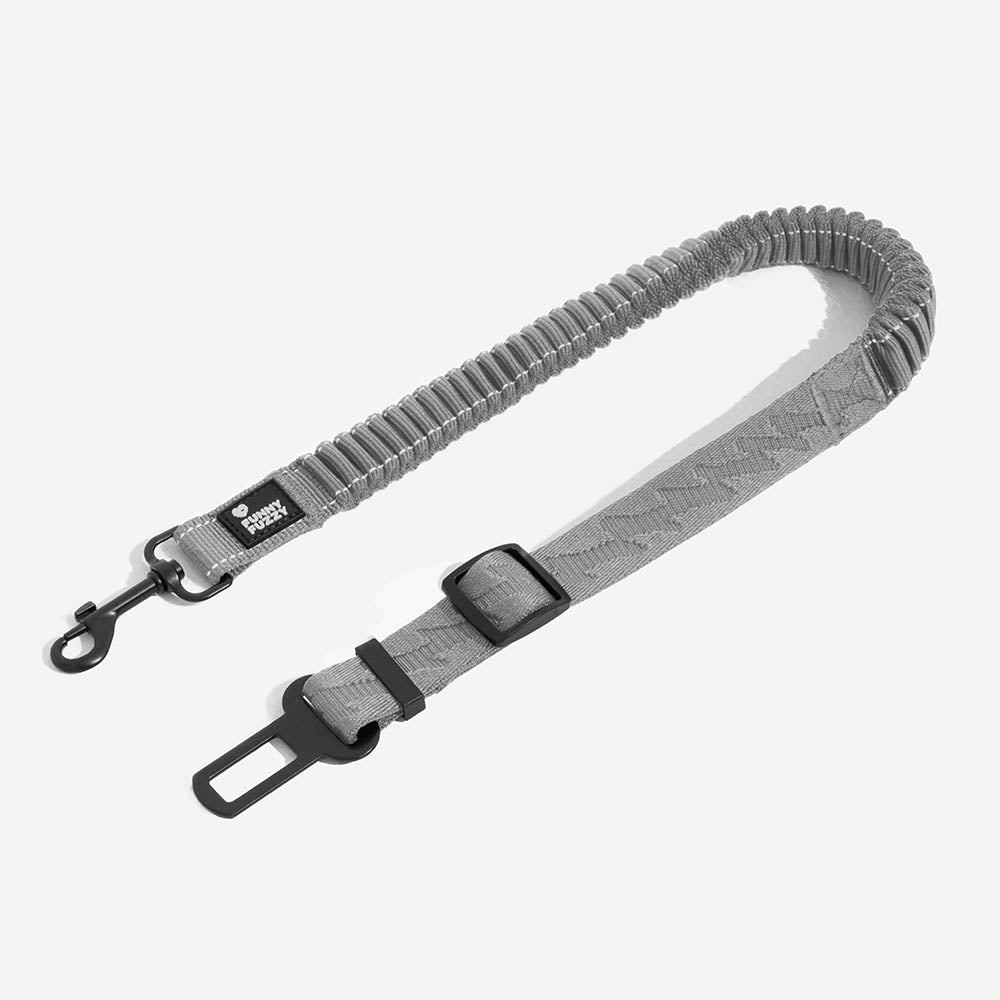 Essential pet supplies: reflective dog harness & car seat belt for safety