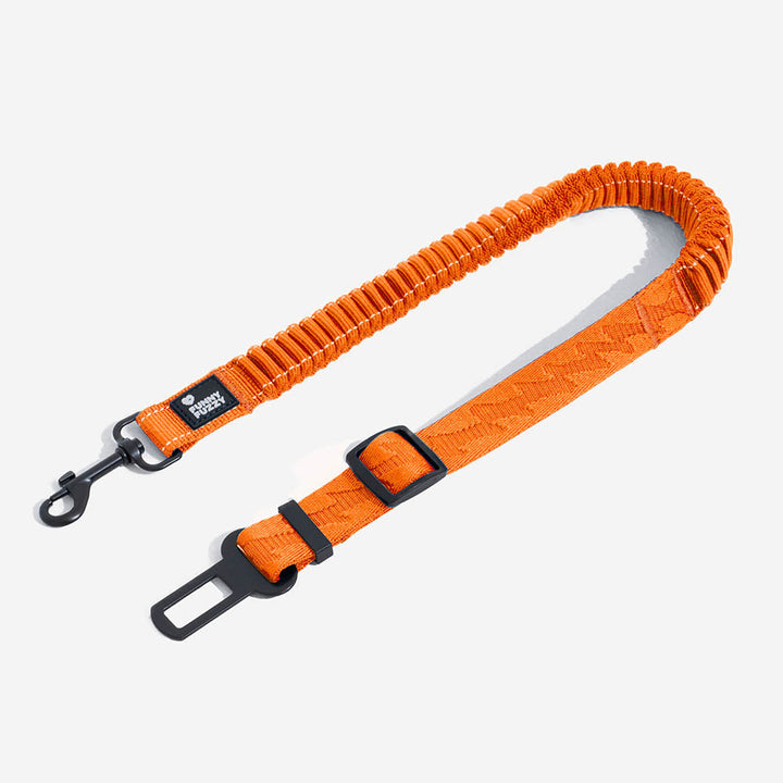Dog car accessory: reflective harness & seat belt for secure travel