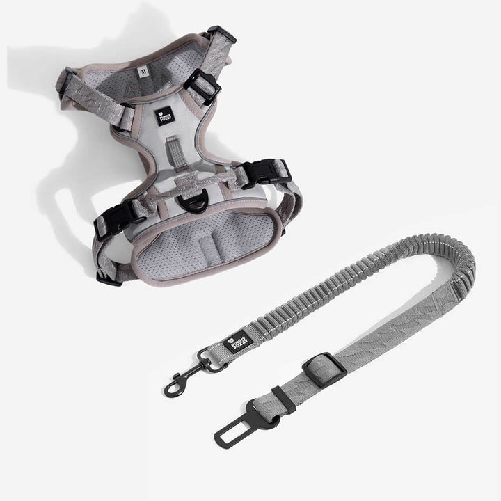 Adjustable dog car seat belt & reflective harness for secure & visible travel