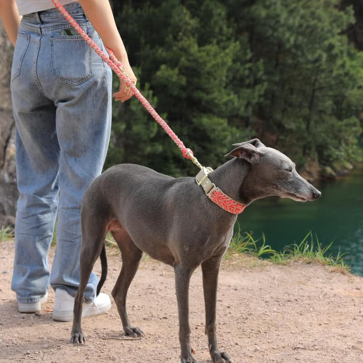 Integrated anti-pull dog collar and leash set, hand-woven hemp rope with refined faux leather, for comfortable walks