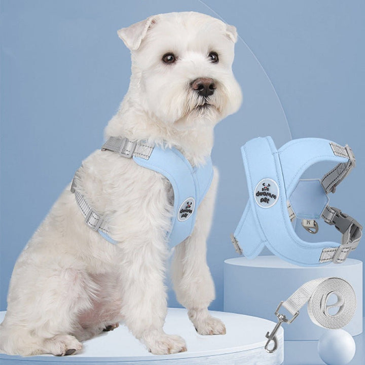 Reflective dog crossed harness and matching leash for enhanced visibility and pet safety on walks